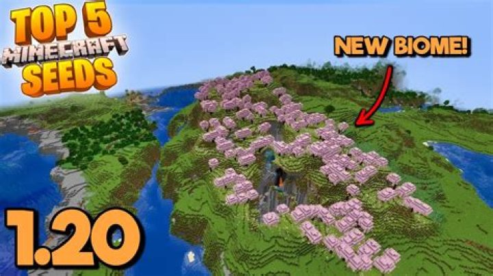 How do I change my minecraft server to large biomes?