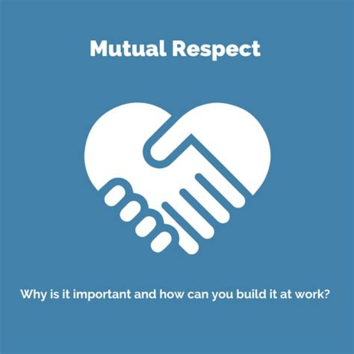 How do you provide mutual support within a team?