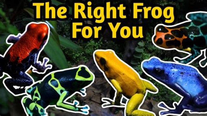 How many poison counters do you need to win EDH?