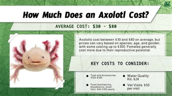 How much does it cost to enter a tournament?