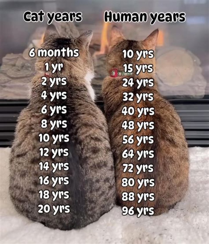 Is tails really 8 years old?
