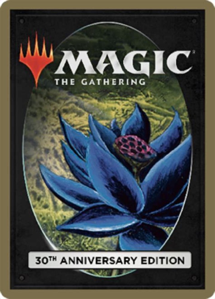 What does protection do in Magic The Gathering?