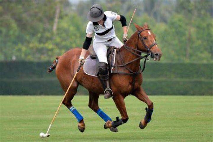 What is the sport of horse riding called?